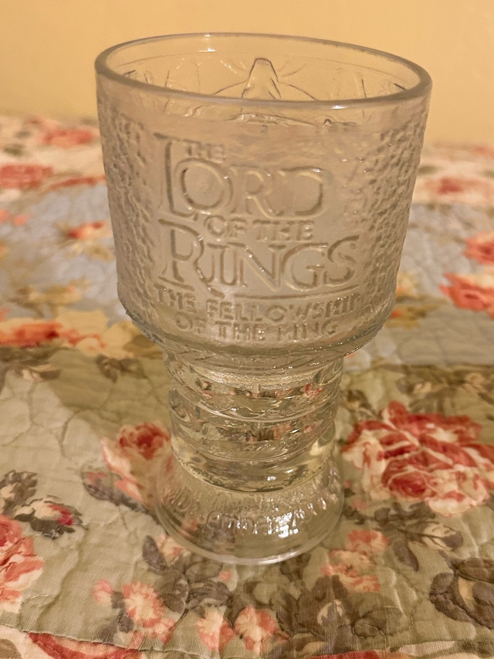 The Lord of the Rings: The Fellowship of the Ring glass